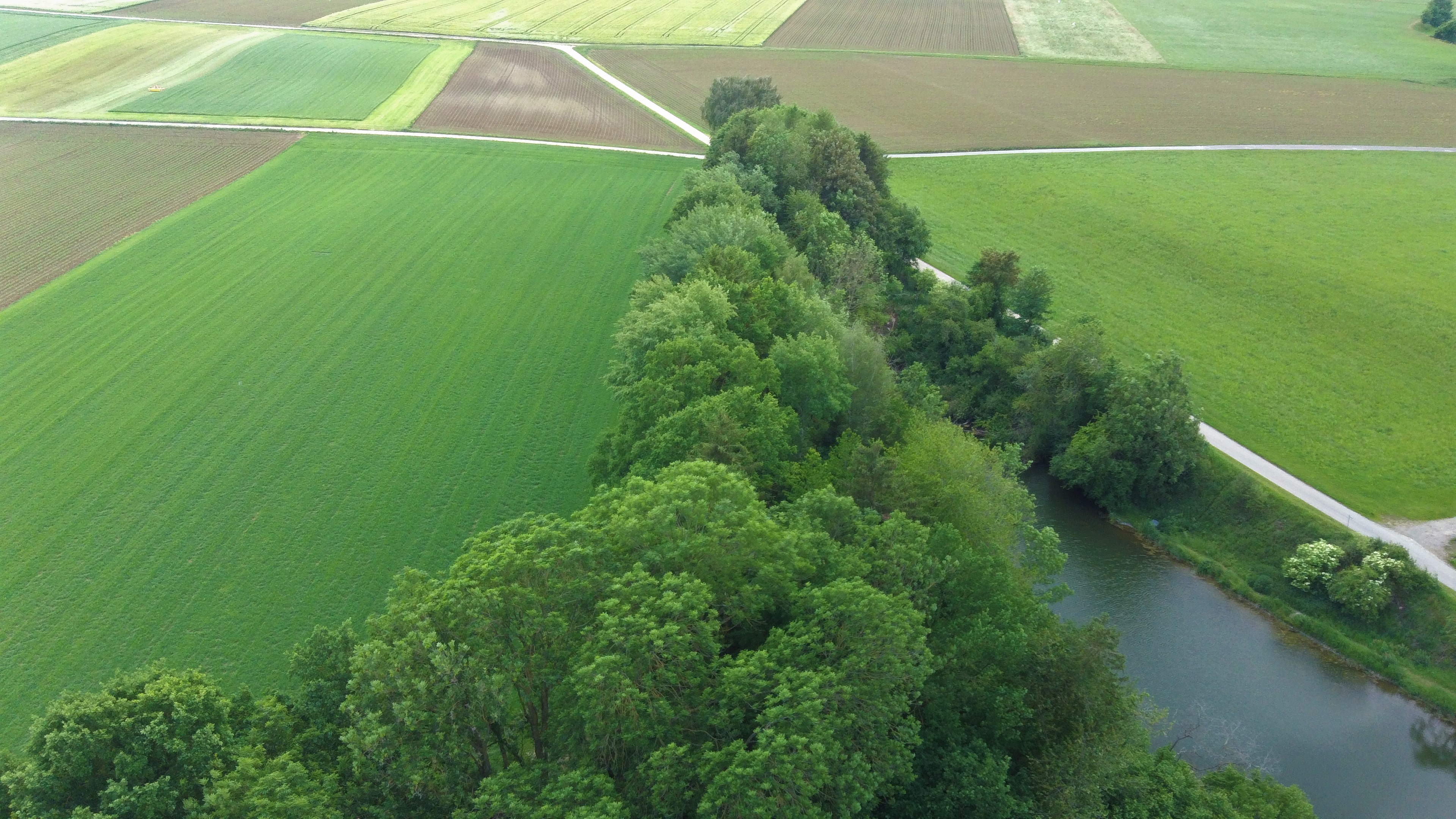 please try another browser